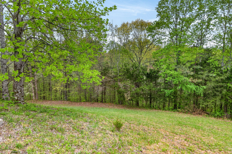 Listing Image 36