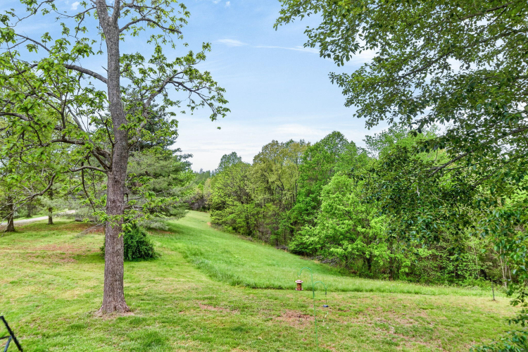 Listing Image 54