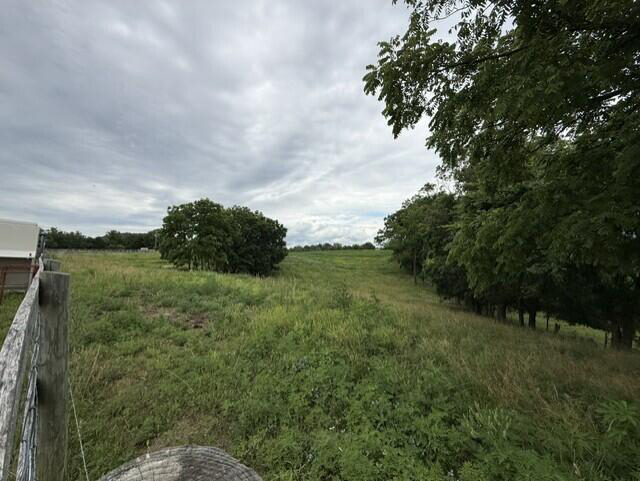 Listing Image 24