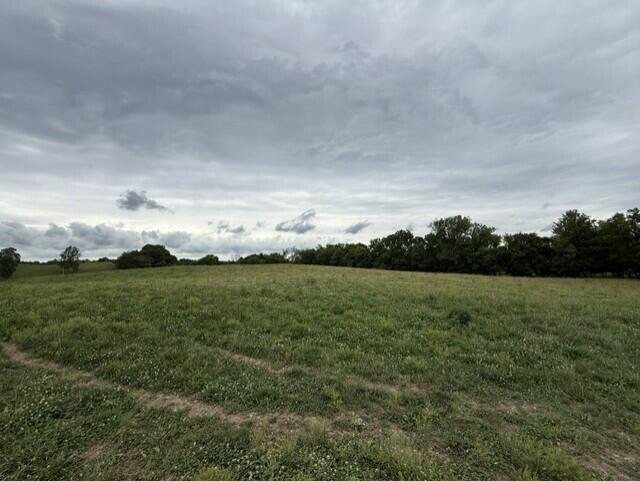Listing Image 27