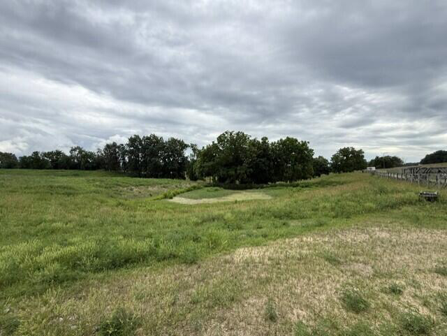 Listing Image 28