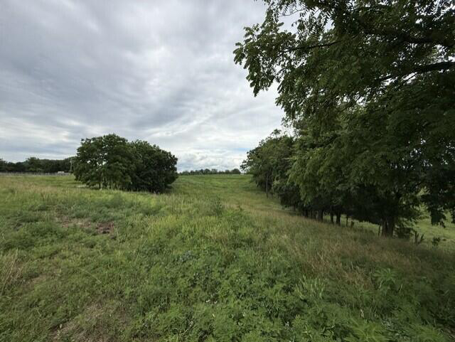 Listing Image 29