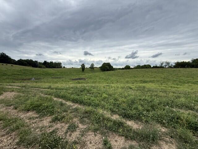 Listing Image 33