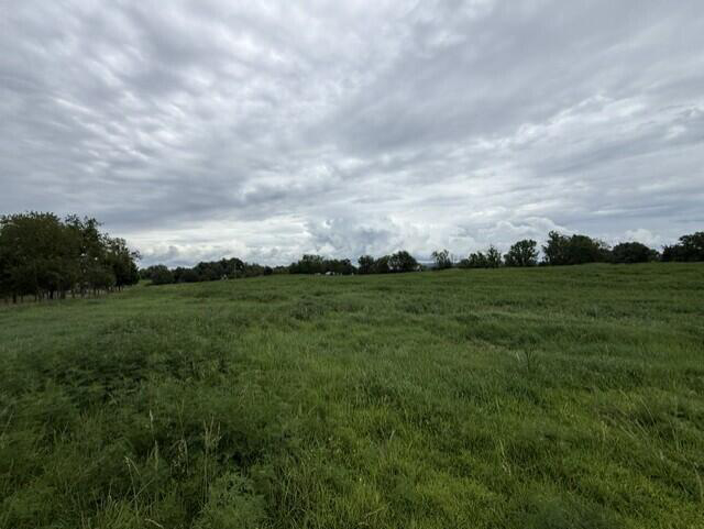 Listing Image 37