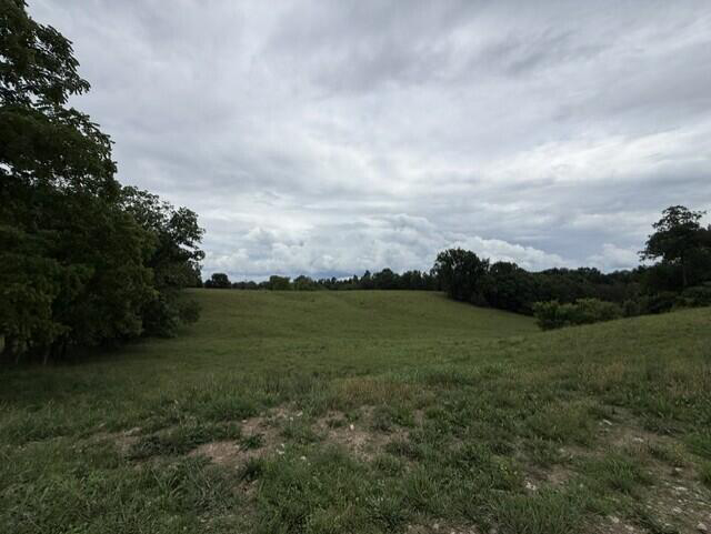 Listing Image 39