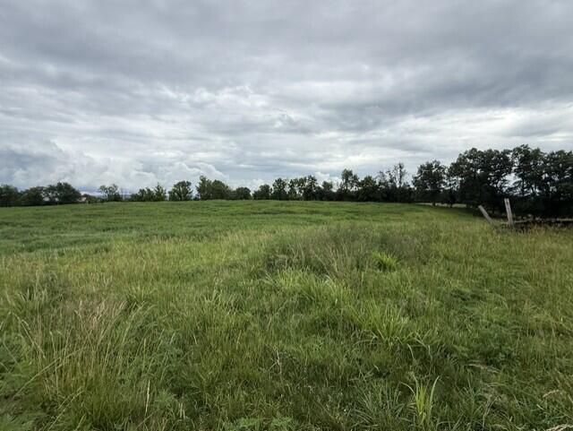 Listing Image 43