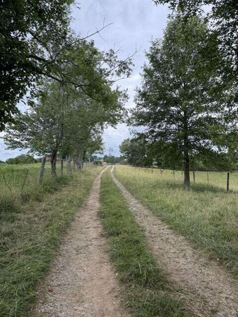 Listing Image 48