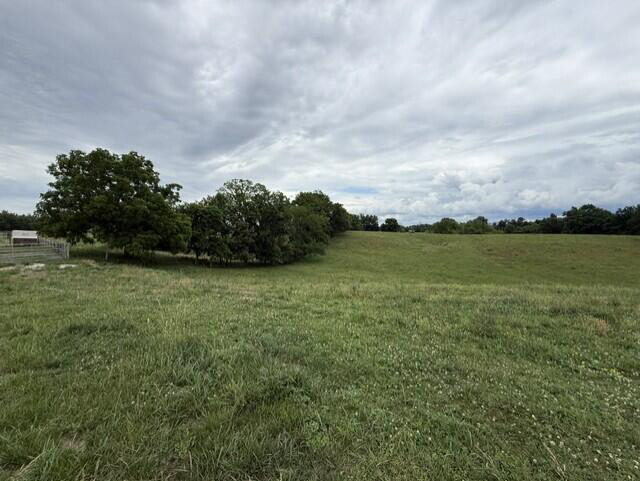 Listing Image 50