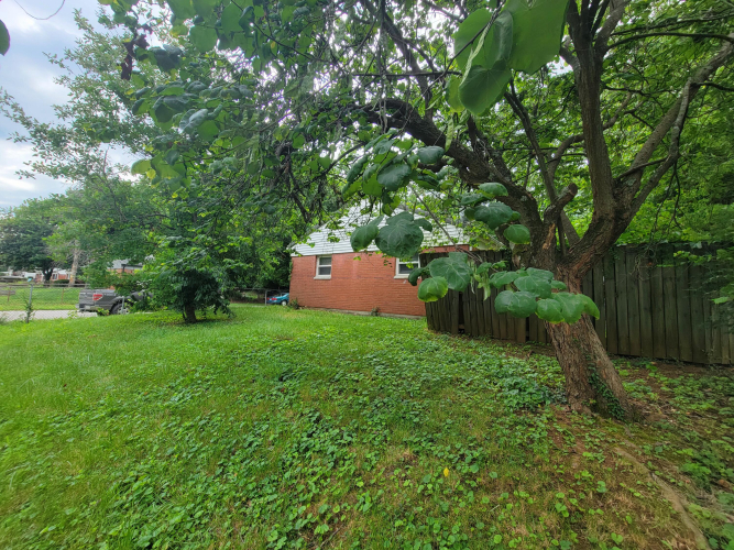Listing Image 20