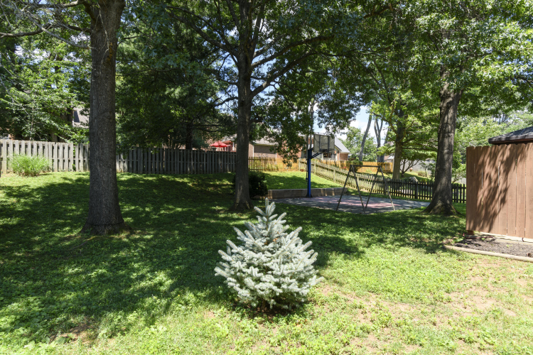 Listing Image 51