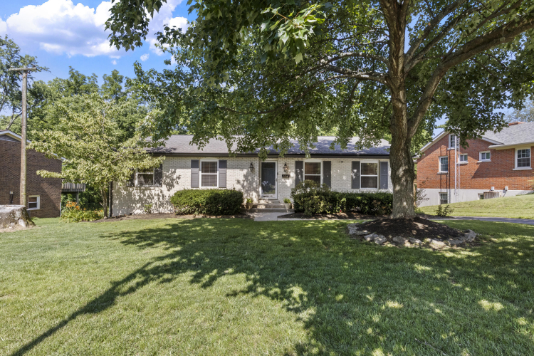 Listing Image 50