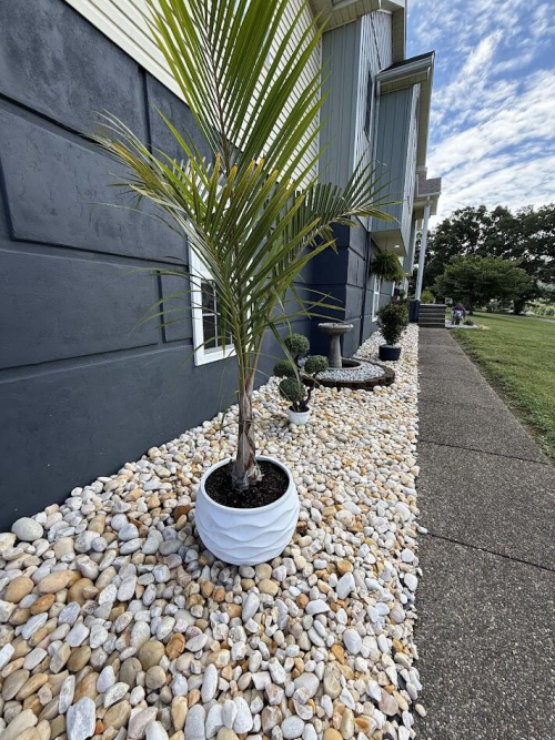 Listing Image 52