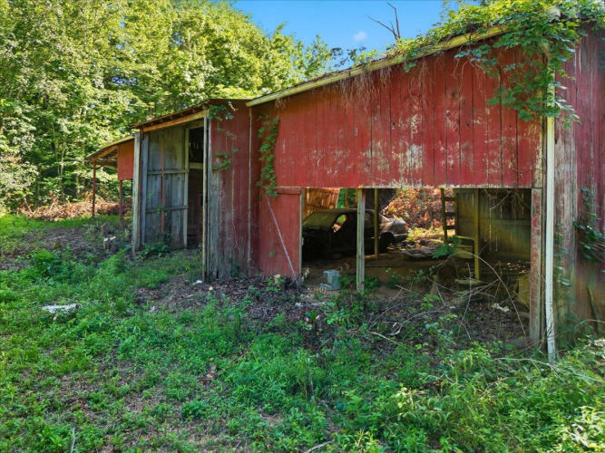 Listing Image 79