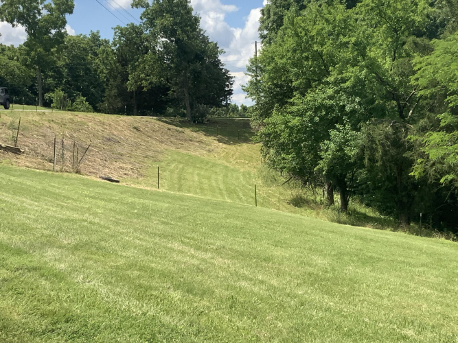 Listing Image 45