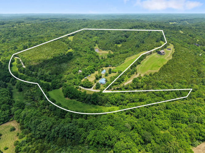 Listing Image 101