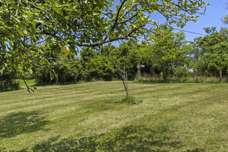 Listing Image 51