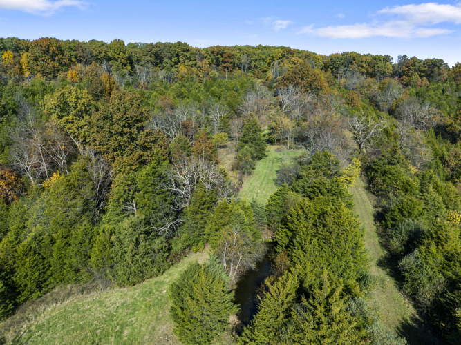 Listing Image 72