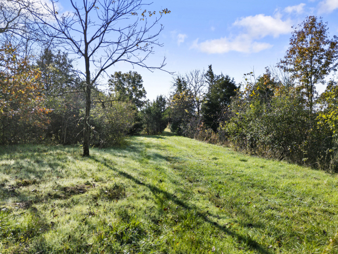 Listing Image 73