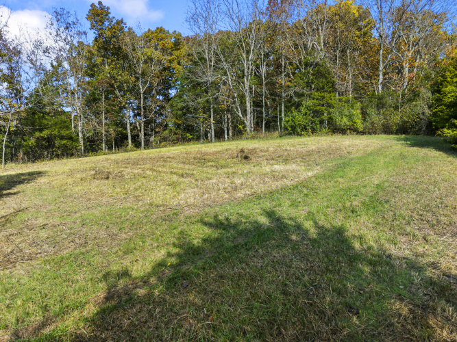 Listing Image 76