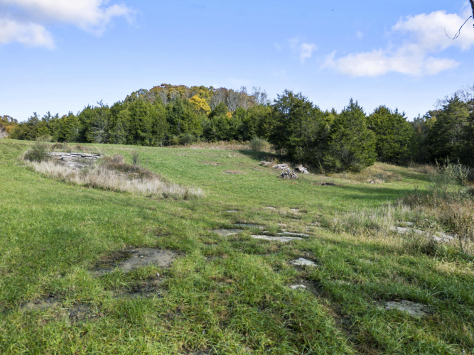 Listing Image 77