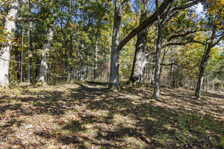 Listing Image 81