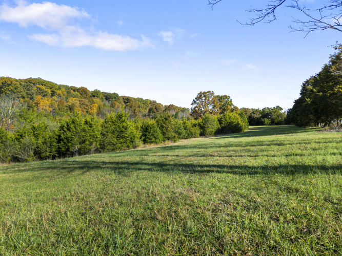 Listing Image 82