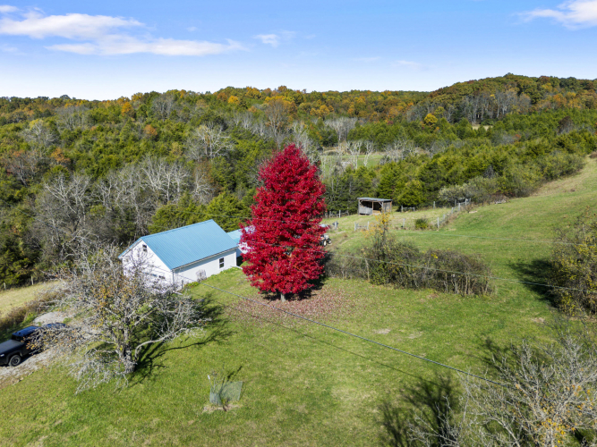 Listing Image 88
