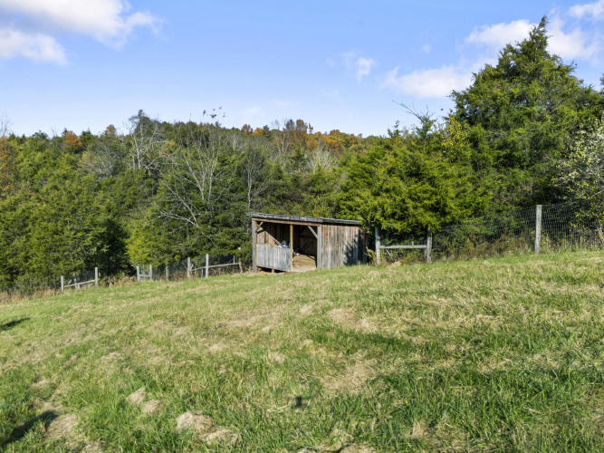 Listing Image 91