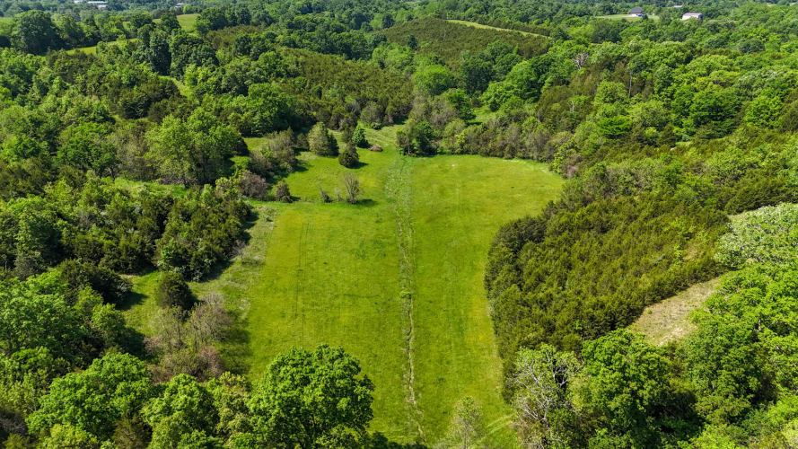 Listing Image 17