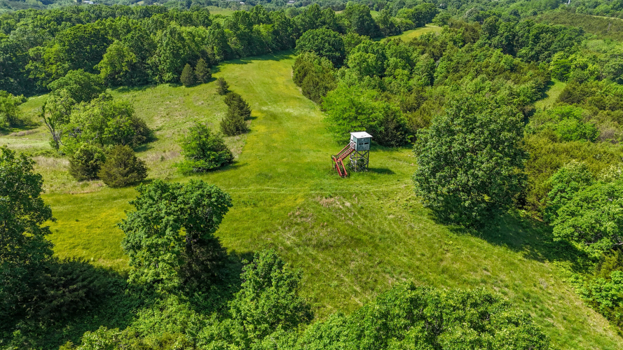 Listing Image 18