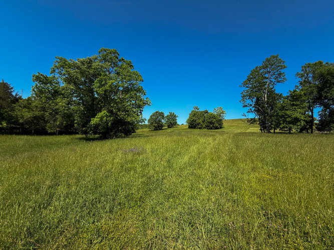 Listing Image 72