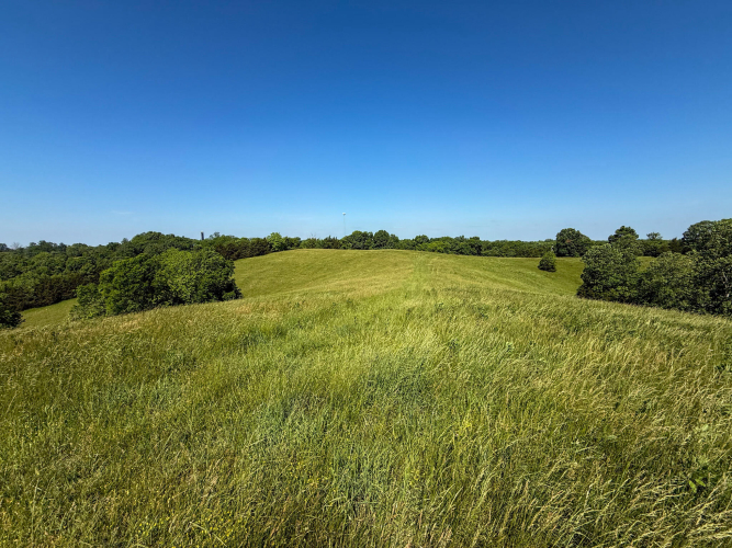 Listing Image 73