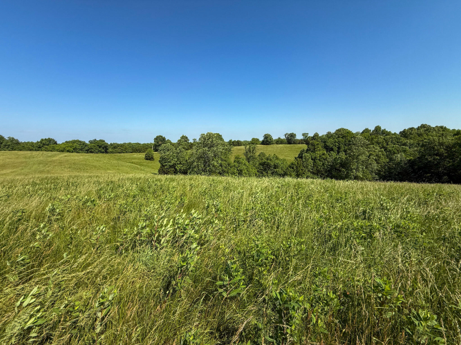 Listing Image 74