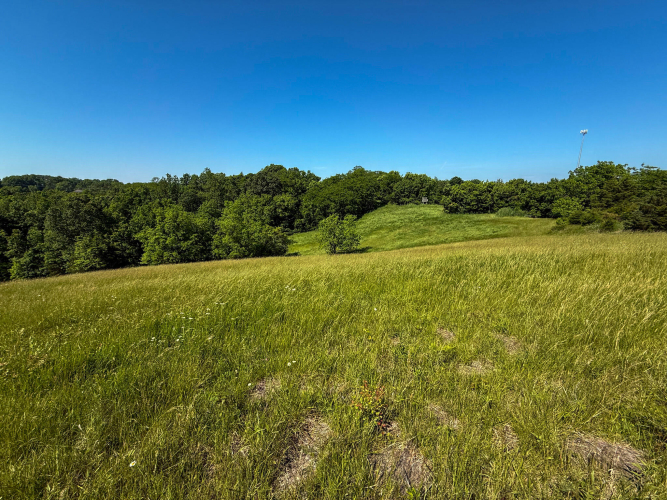 Listing Image 75