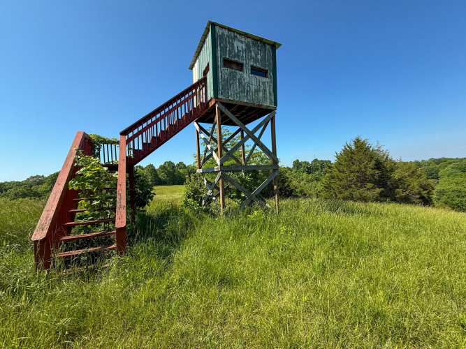 Listing Image 78
