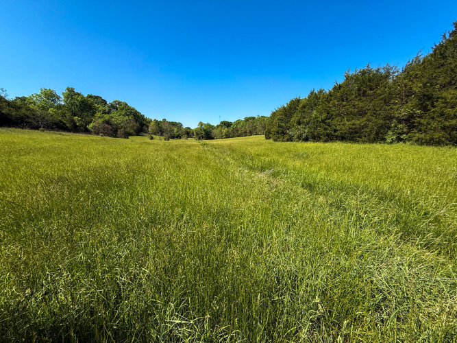 Listing Image 79