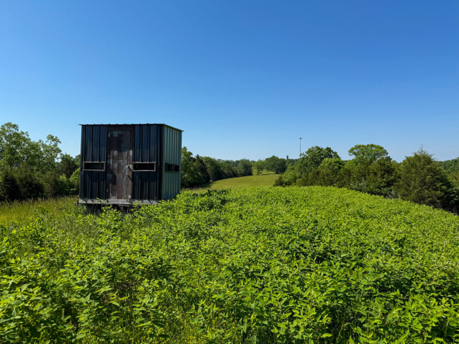 Listing Image 80