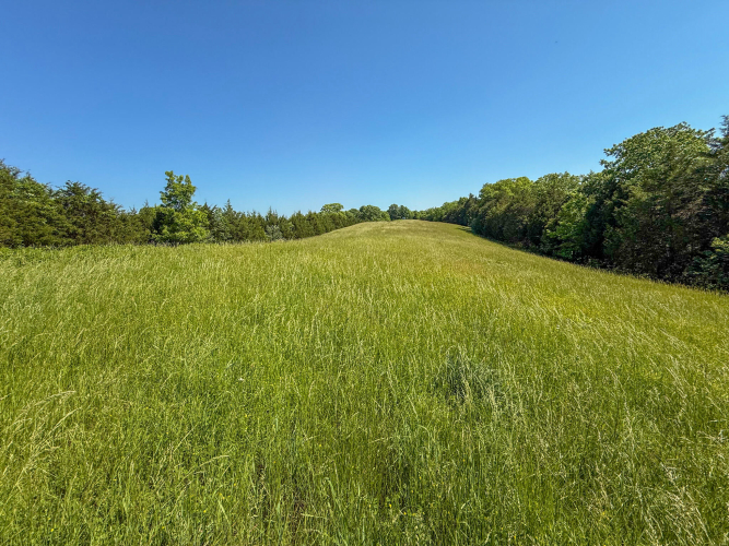 Listing Image 81