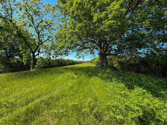 Listing Image 82