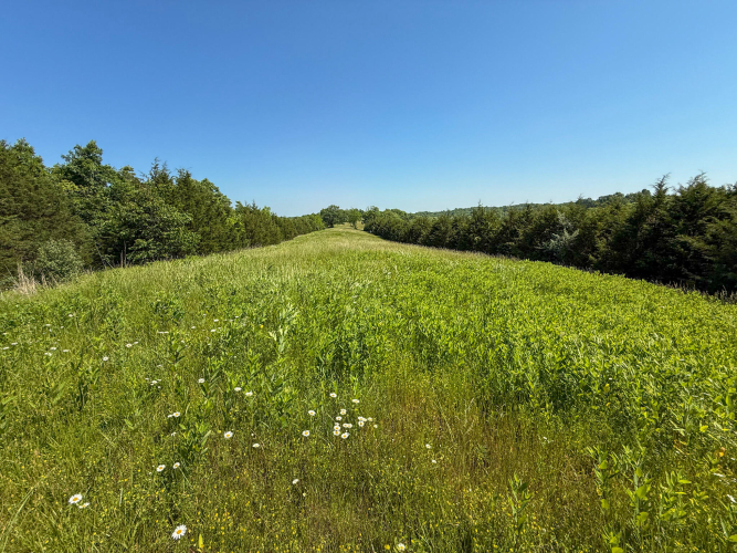 Listing Image 83