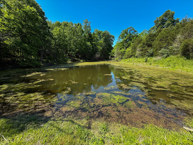 Listing Image 85