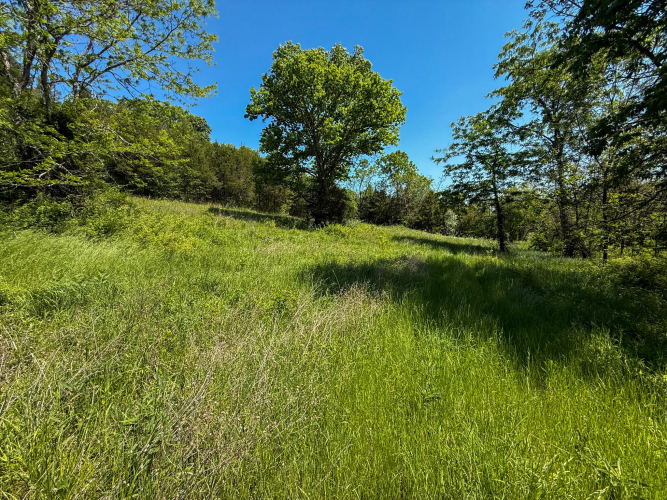 Listing Image 86