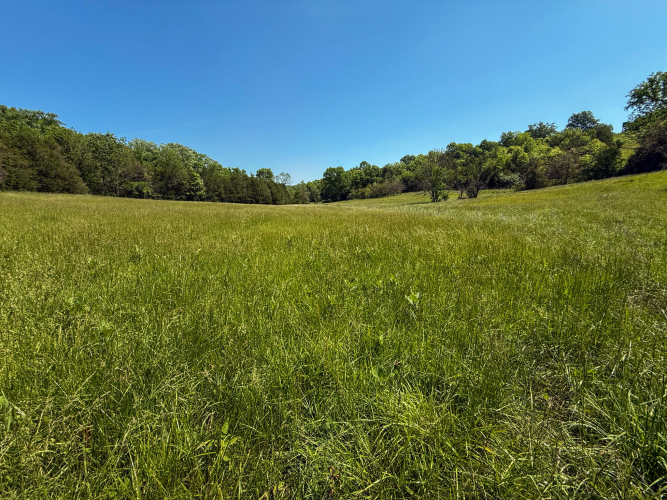 Listing Image 87