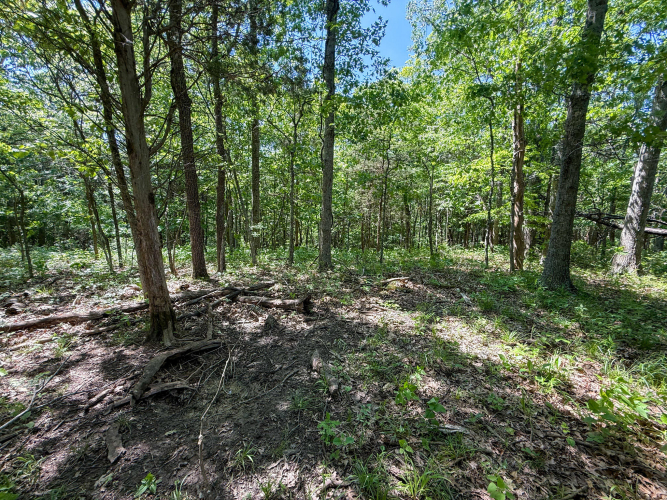 Listing Image 88