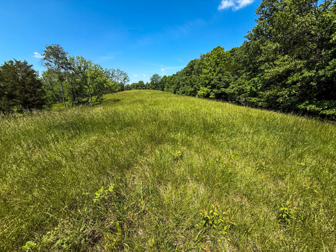 Listing Image 89