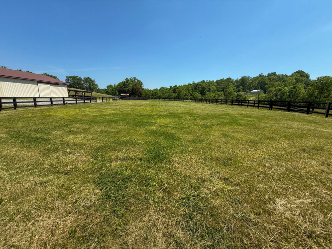 Listing Image 93