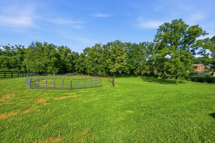Listing Image 65