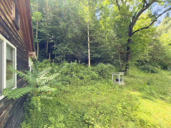 Listing Image 39
