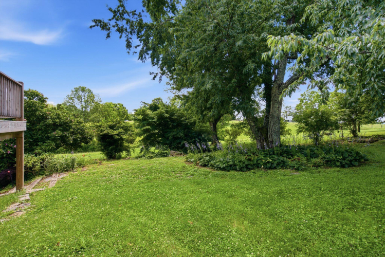 Listing Image 59