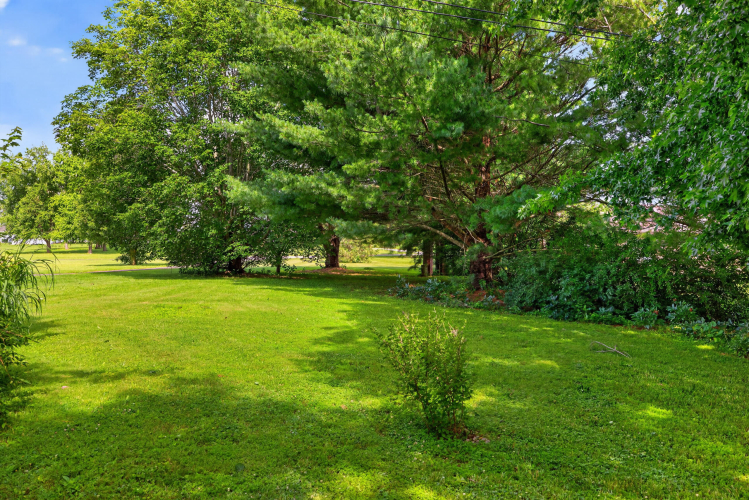 Listing Image 30
